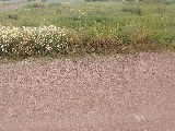 Фото объекта 2