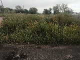 Фото объекта 4