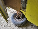 Фото объекта 6