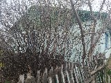 Фото объекта 3