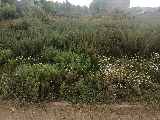 Фото объекта 4