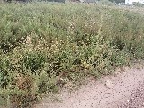 Фото объекта 3