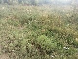 Фото объекта 3