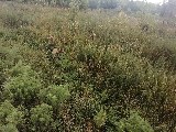 Фото объекта 1