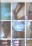 Фото объекта 9