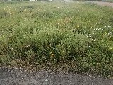 Фото объекта 1