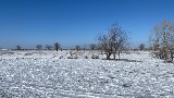 Фото объекта 2