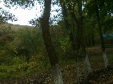Фото объекта 11