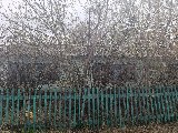 Фото объекта 6