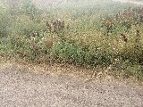 Фото объекта 2