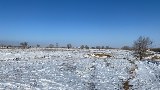 Фото объекта 4