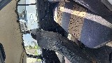 Фото объекта 11