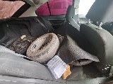 Фото объекта 5
