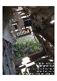 Фото объекта 8
