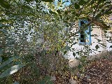 Фото объекта 9